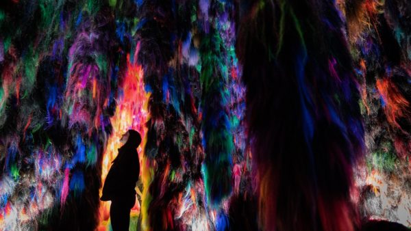 shoplifter interview