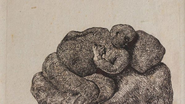 Emami Art Jogen Chowdhury Press Release page