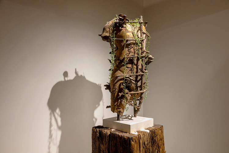 Nature Morte – Subodh Gupta