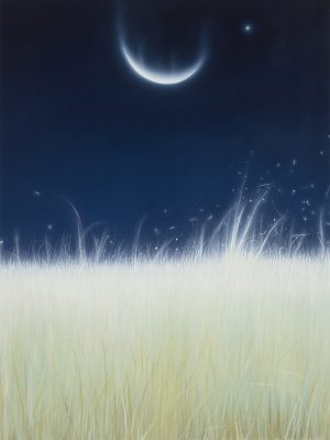 Sarah Lee, Falling Moon copy